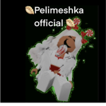 Pelimeshki team