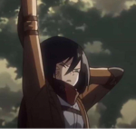 mikasaaa