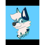 Black wolf team join :D