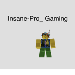 Insane-Pro_Gaming