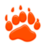 Orange Pawed Panda CLAN