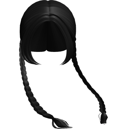 Protagonist Long Windy Double-Braids Black Roblox item