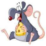 Radiant rats