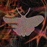 Metamorphic Order of the True Horizon