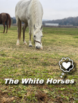 ¥~{The white horses}~¥