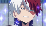 Todoroki Shoto