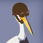 Pelican fan club
