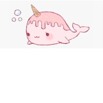 THE NARWAL TEAM