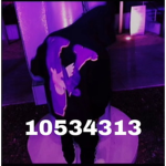 Xxbaddestxbiachxx