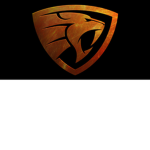 EYE OF A TIGER