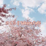 さくら || Sakura Café