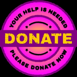 Ultimate donation 💸