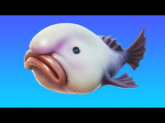 Fortnite fan club2