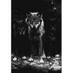 ~Dark Wolfs~