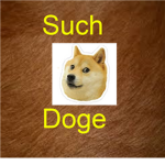 Dogers