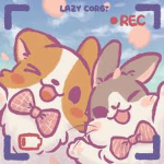 Lazy corgi group!