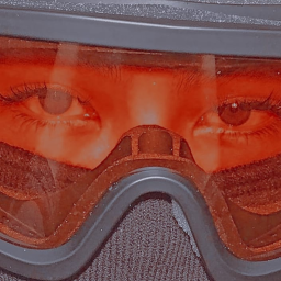 eye