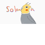 Come chill with me and my cousins and their bird:)
