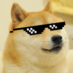 team of doge pro