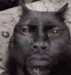 Xqzii