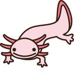 Super Axolotl Studios