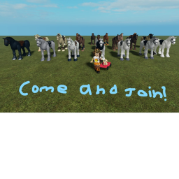 Come and Join me with Horses!