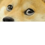 Giving people robux join if ya want