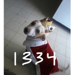 1334