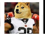 SUBSCIBERS FOR BUFFDOGE