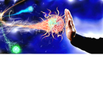 Negative Clan