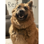Rest In Piece Shiela