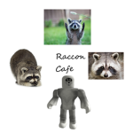 Raccoon Cafe