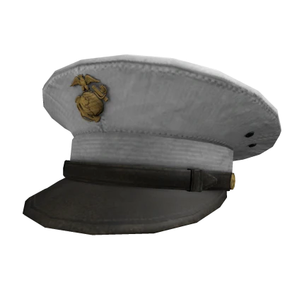 princess polly baby blue dress US Marine Corps Dress Blues Service Cover | Roblox Item