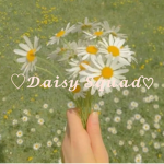 Daisies Squad!!!
