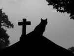 Petcemetery