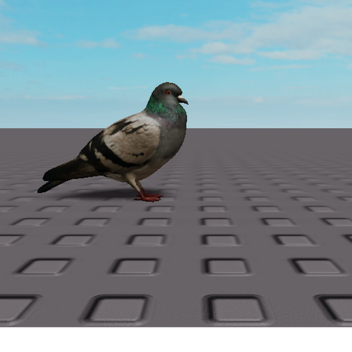 pigeon cinematic