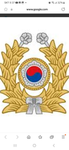 여우부대