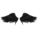 Black Angel Wings