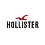 Hollister Inc. ツ