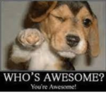 Your_awesome