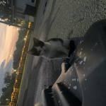 kitty luvers :O