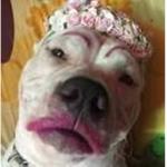 IndianDoll