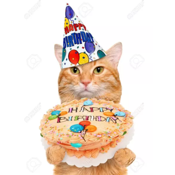 feliz cumpleaños Sam