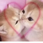 .Night-pinky.