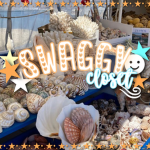 - swaggy closet -