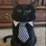KitCats Games