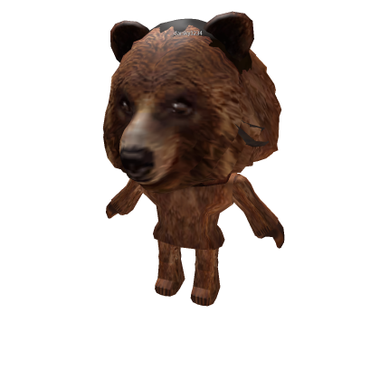 darsky1234 bloxkin