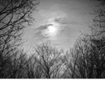 Worshippers of Grey