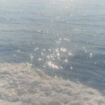|+| Costal Clostet |+|