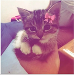 Asher_mm